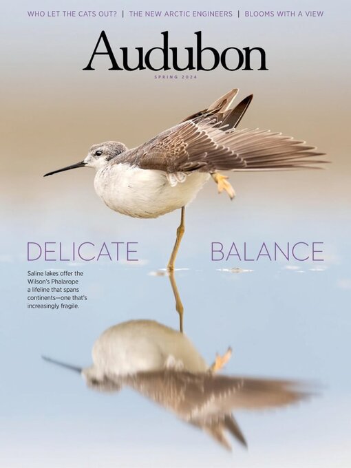 Title details for Audubon Magazine by National Audubon Society - Available